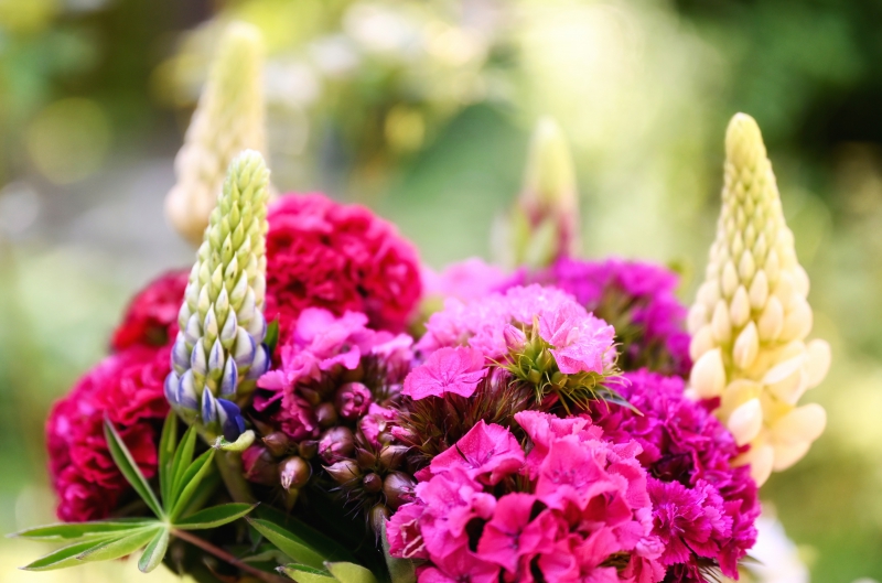 fleuriste-LA ROQUE EN PROVENCE-min_flowers-5369794